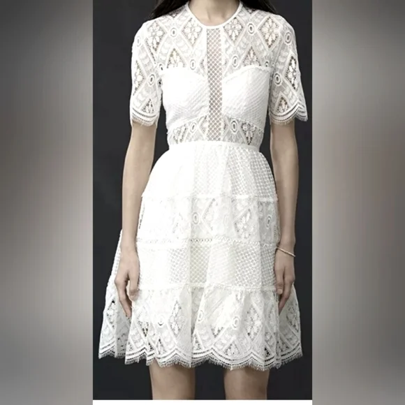 chinese dress ladies Alexis Sage Green Semi-Sheer Floral Lace Mini Dress